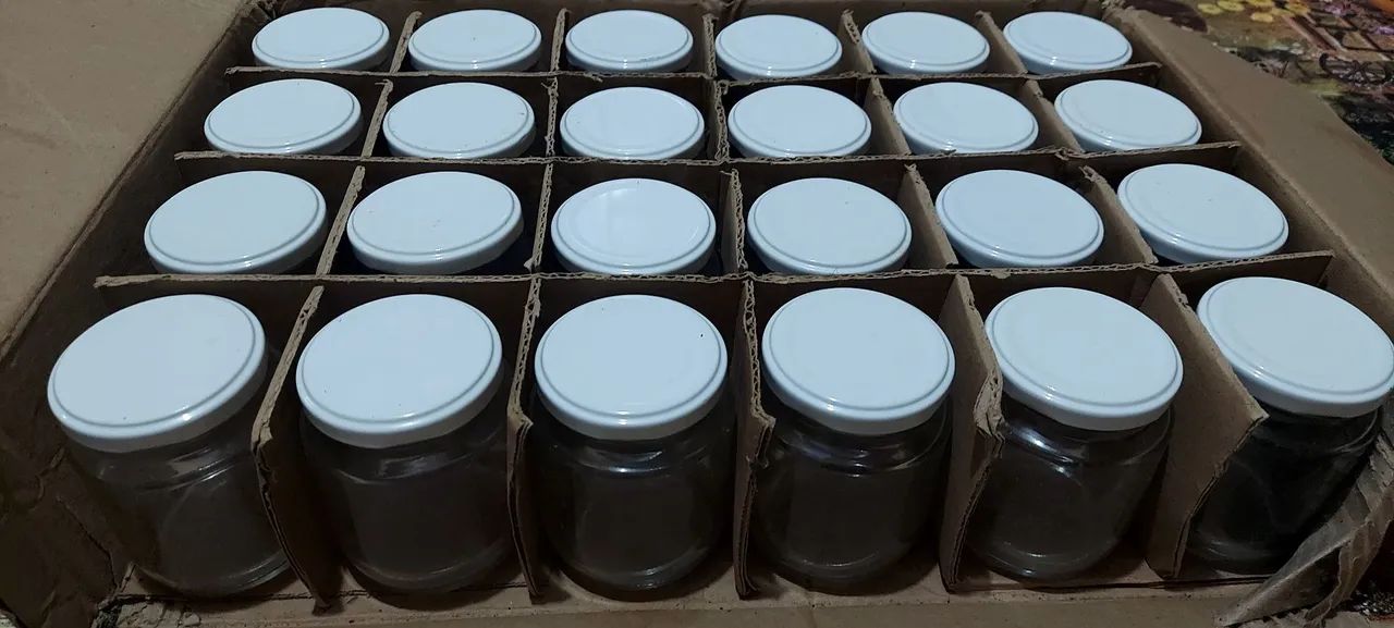 Potes de Vidros Tradicional 250g Com Tampa 