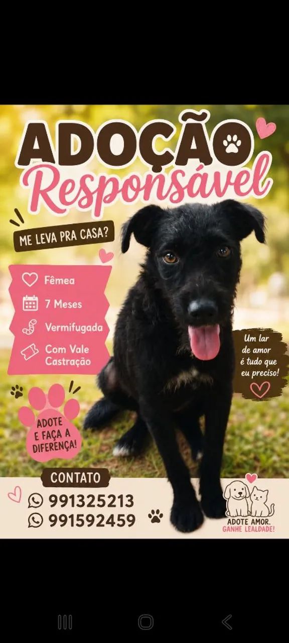 Adoção responsável  - Foto 2