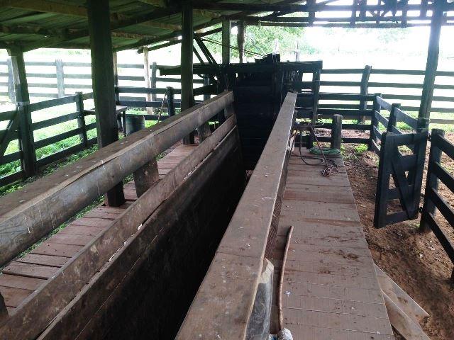 Fazenda 950 ha Rosário Oeste MT - Foto 5