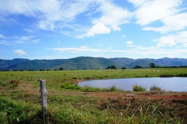 Fazenda 1750 ha N.S. Livramento MT - Foto 6