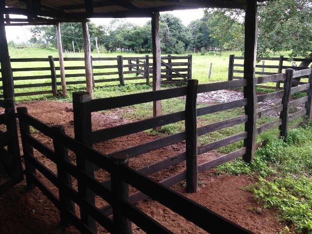 Fazenda 950 ha Rosário Oeste MT
