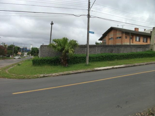 Terreno à venda em Taruma, Curitiba cod:77002.491