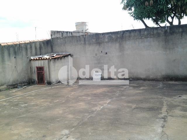 Casa para alugar com 3 dormitórios em Segismundo pereira, Uberlândia cod:545080 - Foto 12