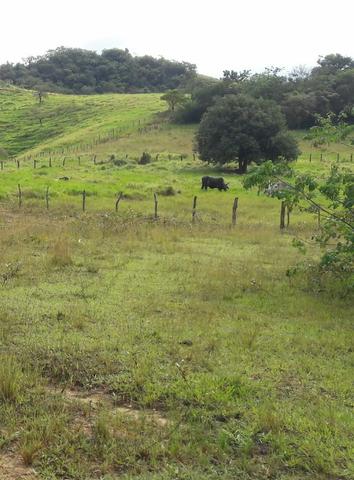 Saquarema - Terreno Madressilva - Rio Seco - 10.139m2 Próximo Km 64 Amaral Peixoto