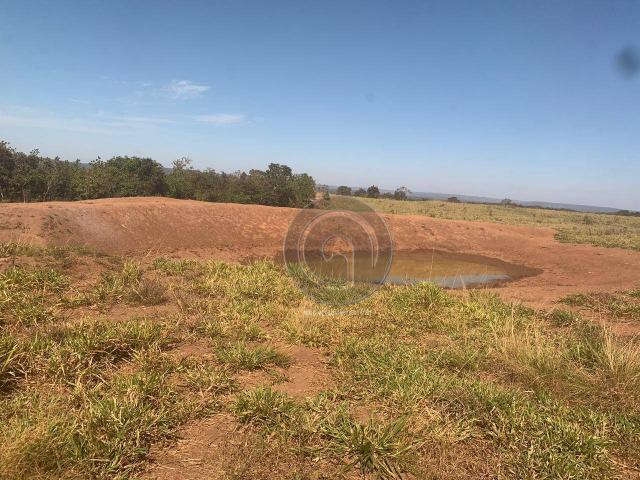 Fazenda 700 ha região do manso - Foto 17