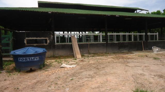 Silva Jardim Propriedade com 9 alqueires preço pra vender! - Foto 2