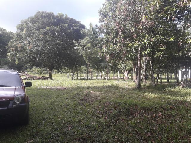 Pronto p/ construir, na pista da PA Colares - Foto 2