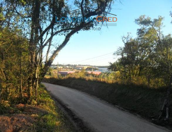 Rural comercial - Bairro Centro em Campina Grande do Sul - Foto 6