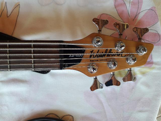 Contrabaixo 6 cordas Washburn