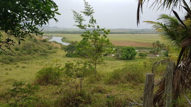 Vendo fazenda em Nova Almeida - Foto 19