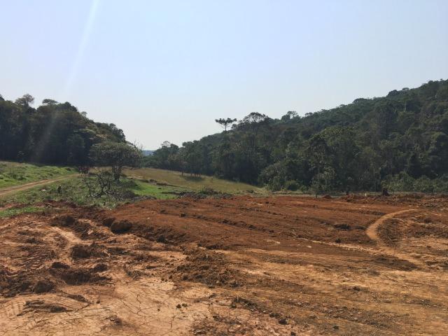 GE Compre agora seu terreno 1000m2 em mariporã para o final do ano