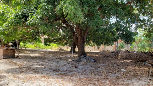 Terreno na Lagoa Redonda, medindo 3.400m², ao lado de três Condomínios - Foto 10