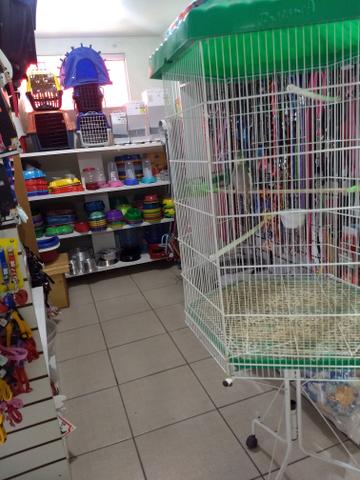 Vendo agropecuária mais de 20 anos - Foto 7