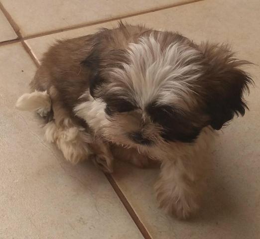 Vendo - Foto 3