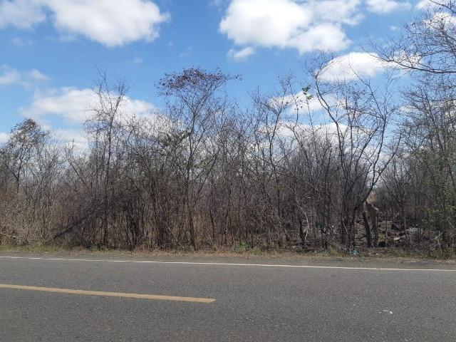 Vendo Terreno Rural na localidade "Tapera" no município de Batalha