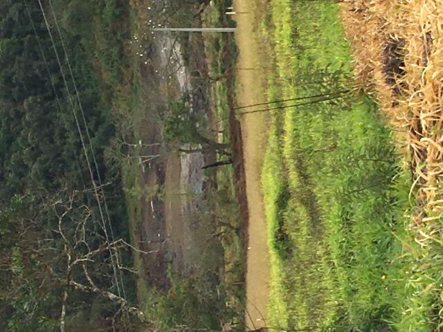 GE Compre agora seu terreno 500m2 em mariporã para o final do ano 10.000 - Foto 4