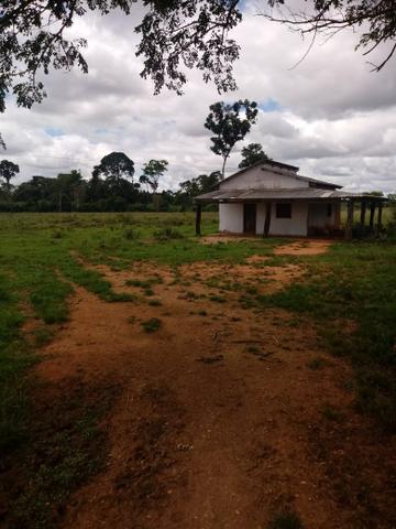 Vendo 60 hectares! - Foto 2