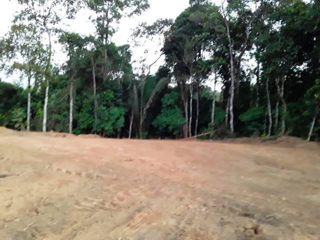 Chácaras - Foto 4