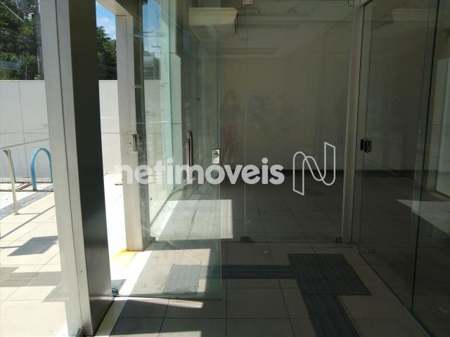 Prédio inteiro para alugar em Pituba, Salvador cod:776630 - Foto 3