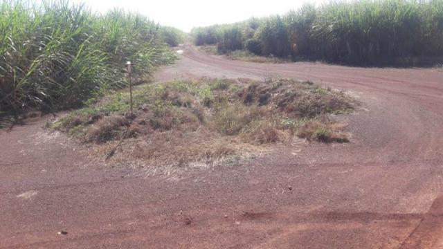 1250 Alq. Pra Cana Oferta Prazo Com Entrada Plana Vermelha Bem Montada MG - Foto 14