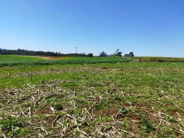 Oportunidade Única: Sítio Espetacular à Venda!