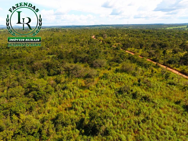 Fazenda 73 Alqueires Próximo a Paraíso do Tocantins - Foto 4