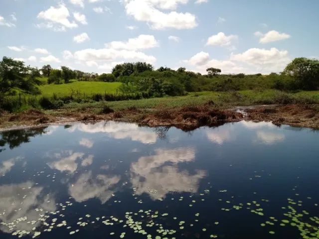 foto - Feira de Santana - Santa Mônica