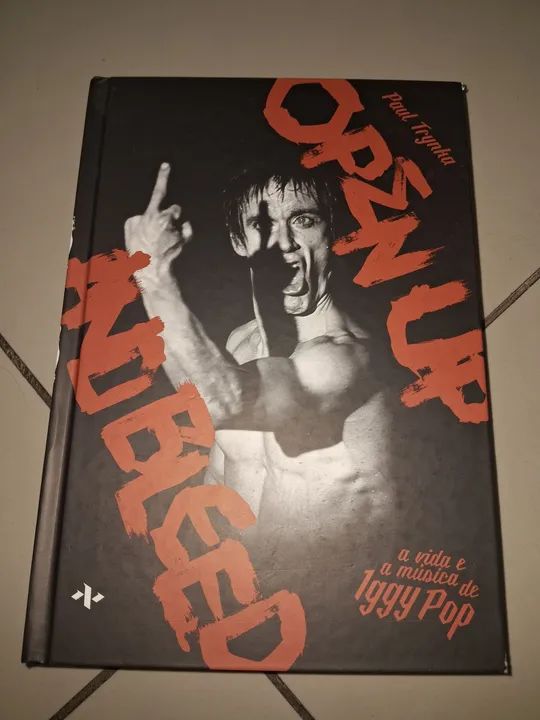 LIVRO A VIDA E A MÚSICA DE IGGY POP