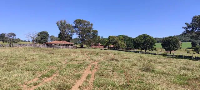 Fazenda em Pontalina  - Foto 3