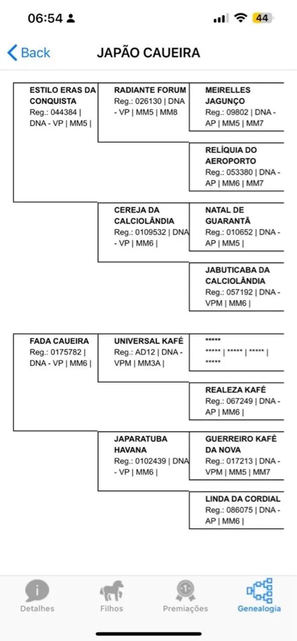 Mangalarga registrado marcha picada  - Foto 3