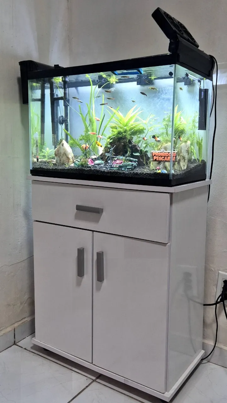 Aquario completo