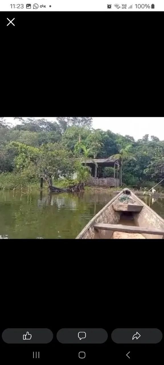 Ilha no lago de tucurui  - Foto 2
