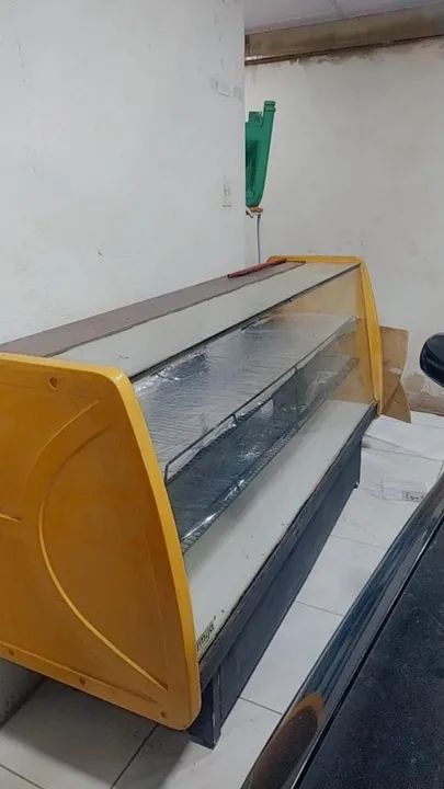 Forno Industrial Profissional - Foto 2