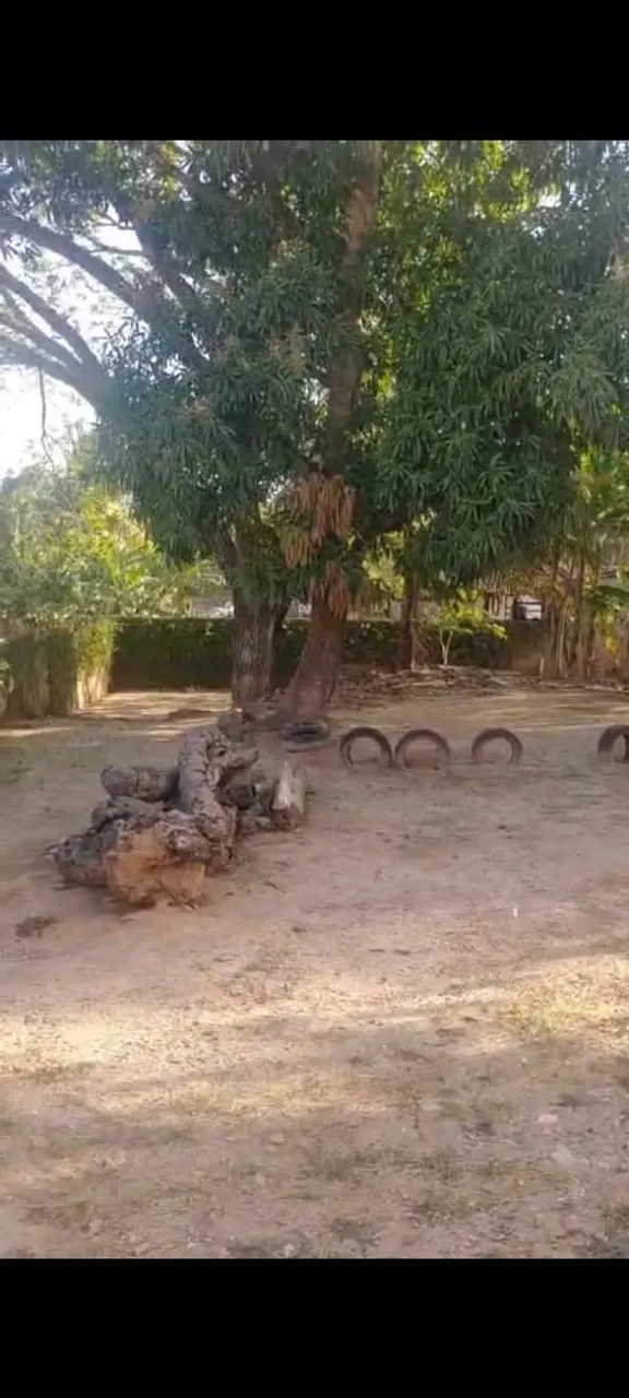 Terreno para alugar em Macaíba