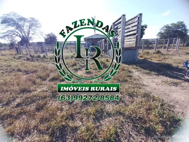 fazenda dupla Aptidão Tocantins - Foto 4