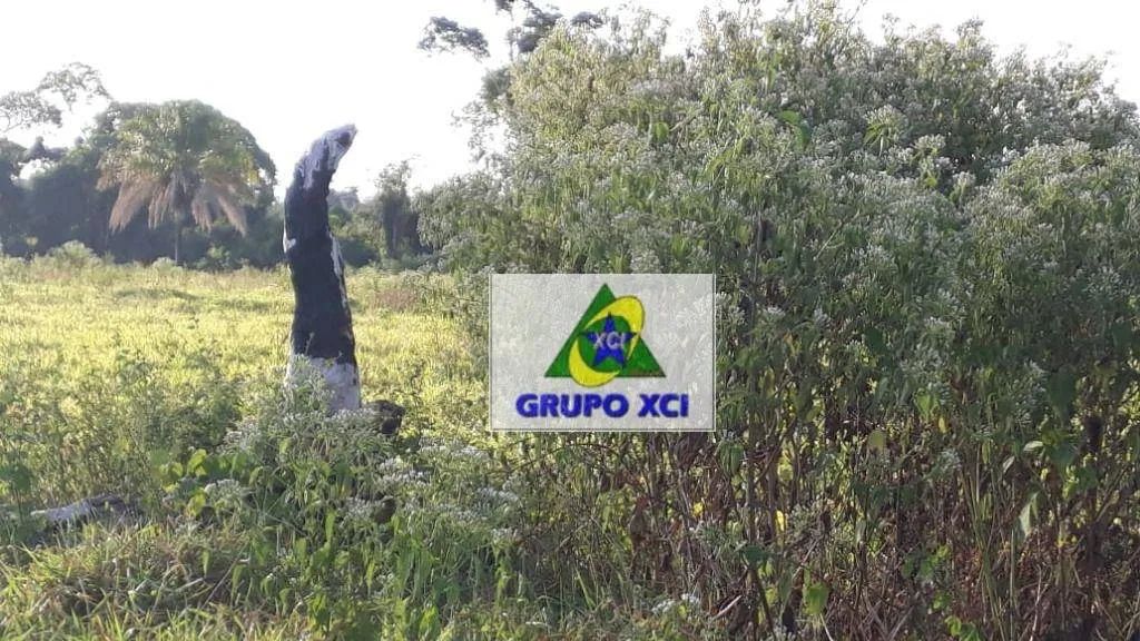 Fazenda à venda, 10527000 m² por R$ 25.000.000,00 - Zona Rural - Juina/MT - Foto 5