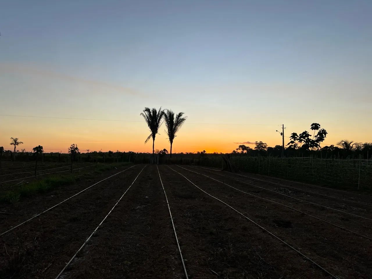  Chácara a venda  - Foto 2