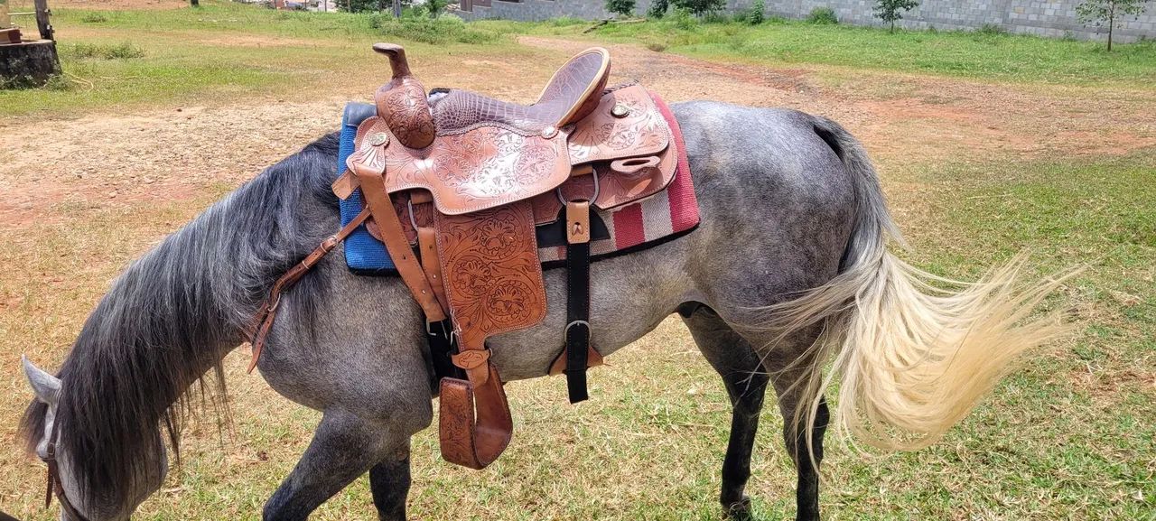 Sela de Team Roping - Foto 3