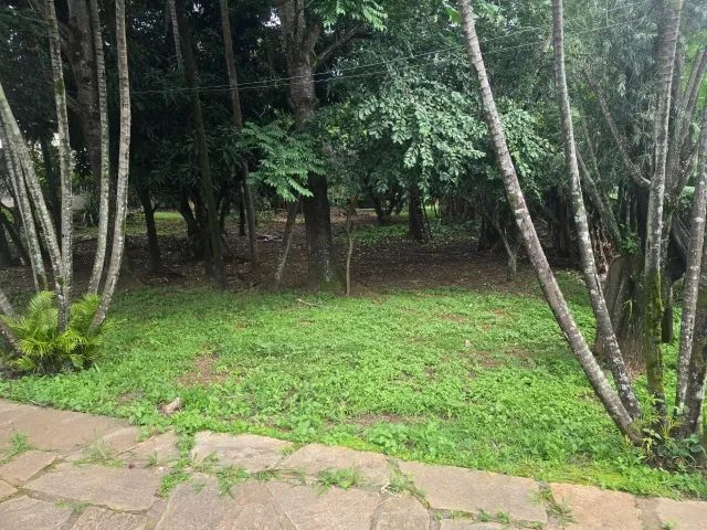 Quadra 38 do São Carlos - 4.354,95 m². Avenida Dona Elvira - Foto 2