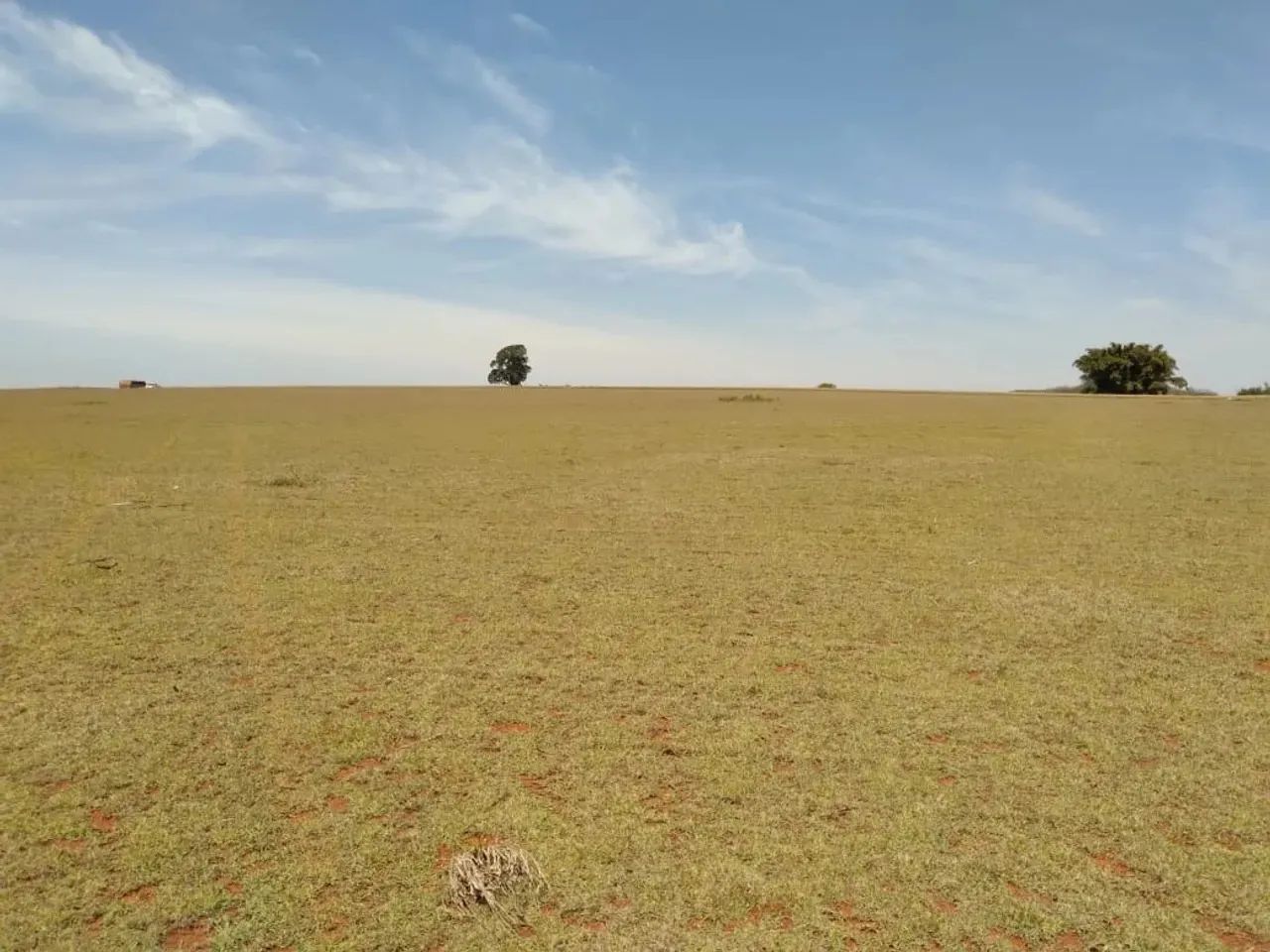 Fazenda 22.5 alqueires em Sorocaba-SP - Foto 4