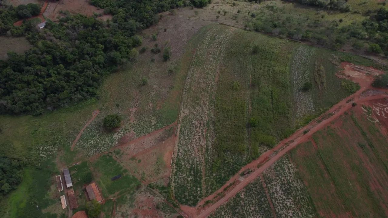 Fazendinhas rural em florestal  - Foto 5