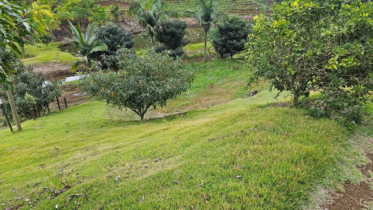 Chácara divisa com chalés busato - Foto 2
