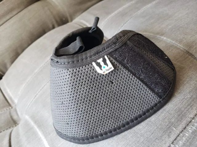 colar elizabetano filhote ou cães de pequeno porte - flexível