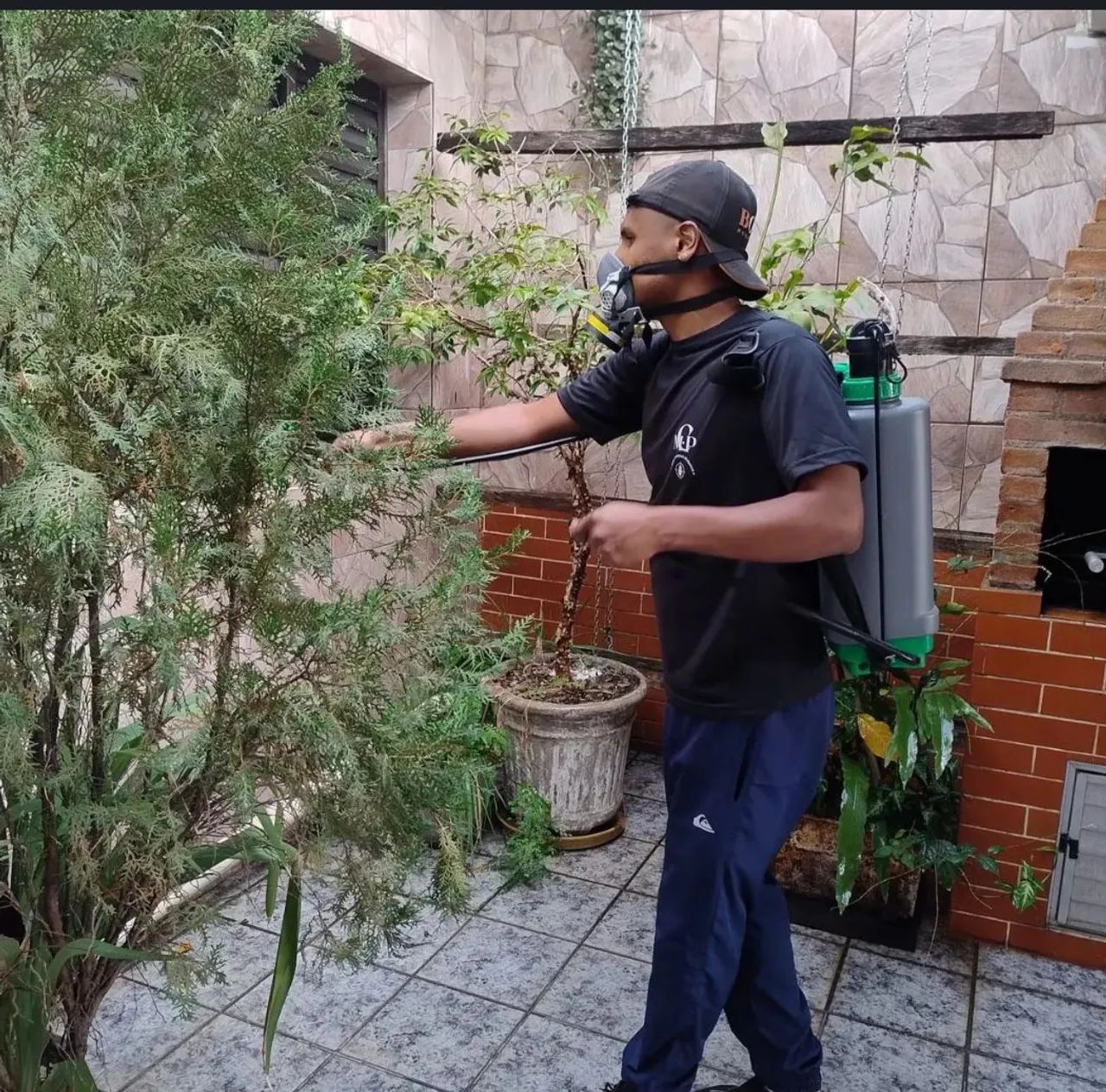  DEDETIZAÇÃO E PULVERIZAÇÃO  - Foto 2