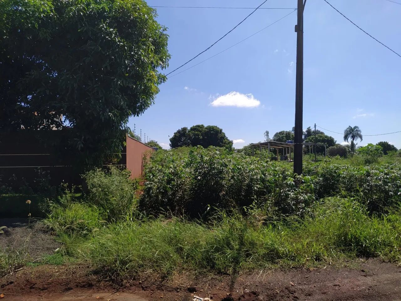 Terreno sem casa em ótima localização 1200mts - Foto 2