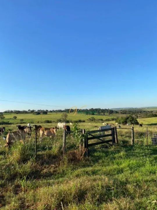 Fazenda com 3 dormitórios à venda, 377520 m² por R$ 3.600.000,00 - Rural - Palmeira d`Oest - Foto 2
