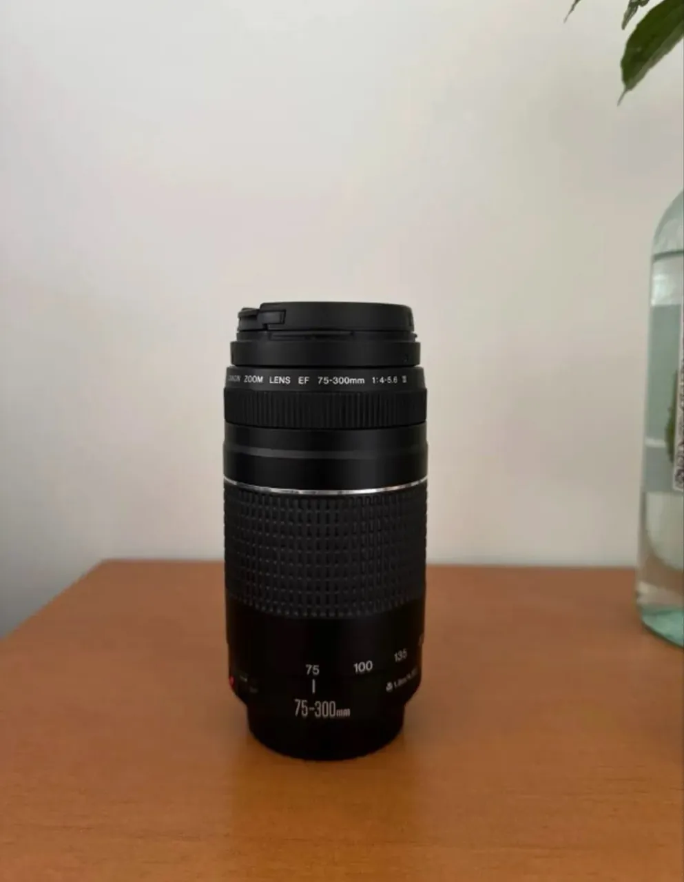 ジャンク】Canon EF 75-300mm 1:4-5.6 Ⅱ 2本セット ジャンク】Canon