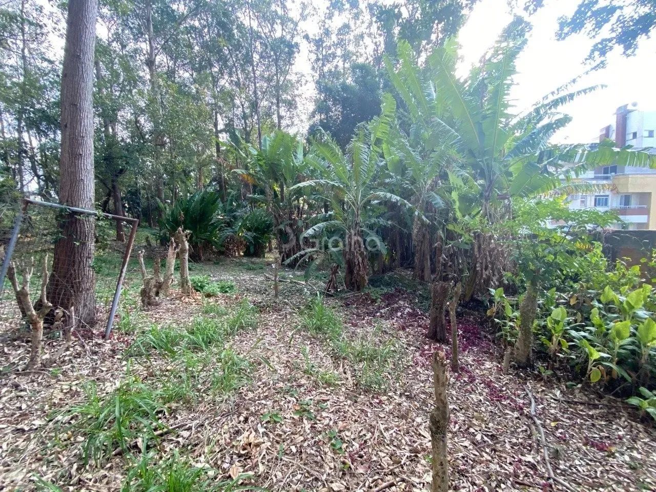 Terreno para Venda em Florianópolis, Pantanal - Foto 3