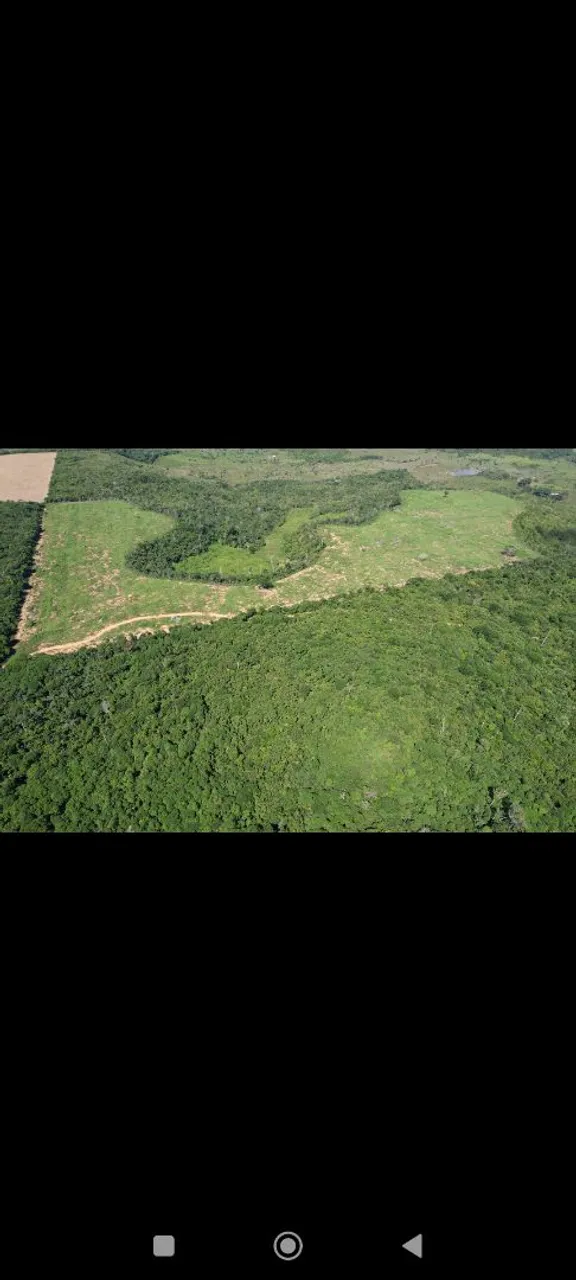 Fazenda município de Paragominas 50 ectaries 