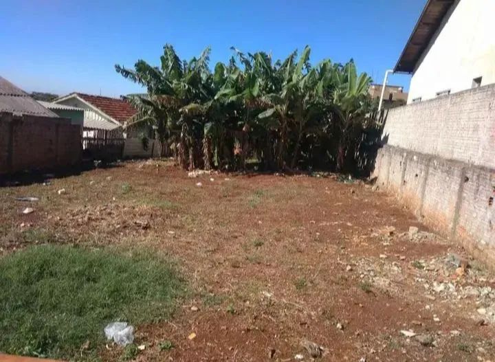 Terreno 360 metros Cornélio Procópio  - Foto 4